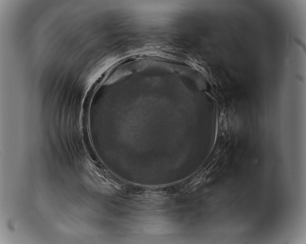 X0000099470292200805231837