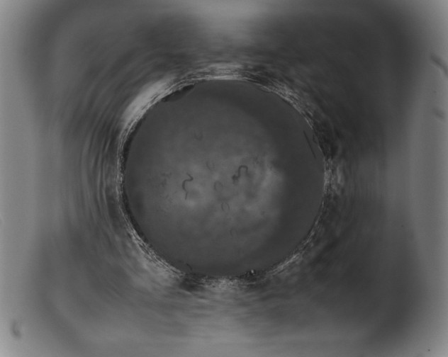 X0000099470293200805231837