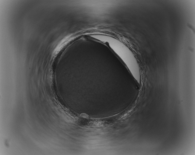 X0000099470295200805231837