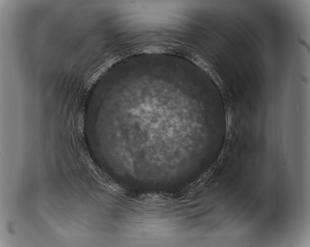 X0000099470297200805231837