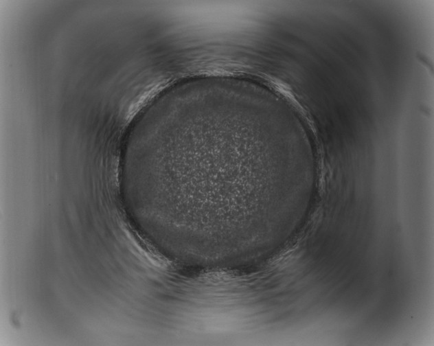 X0000099470299200805231837