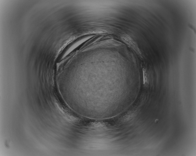 X0000099470300200805231837