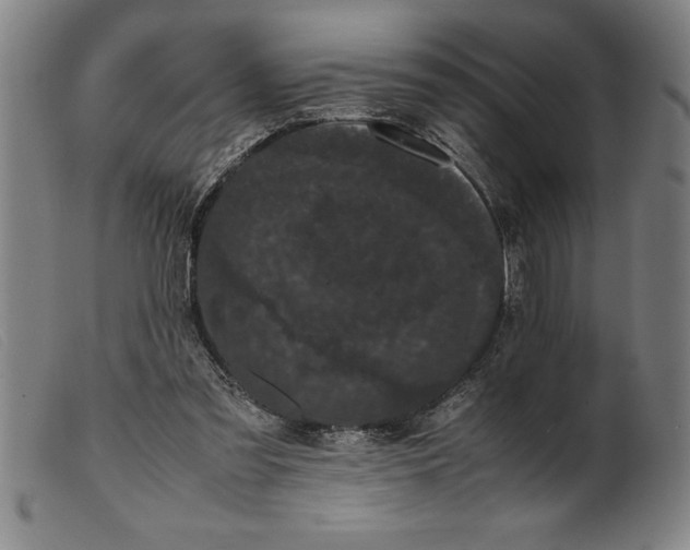 X0000099470301200805231837