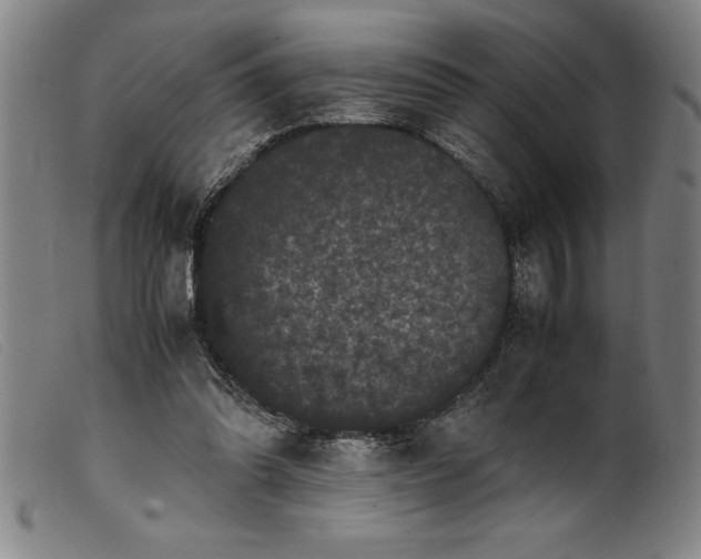 X0000099470302200805231837