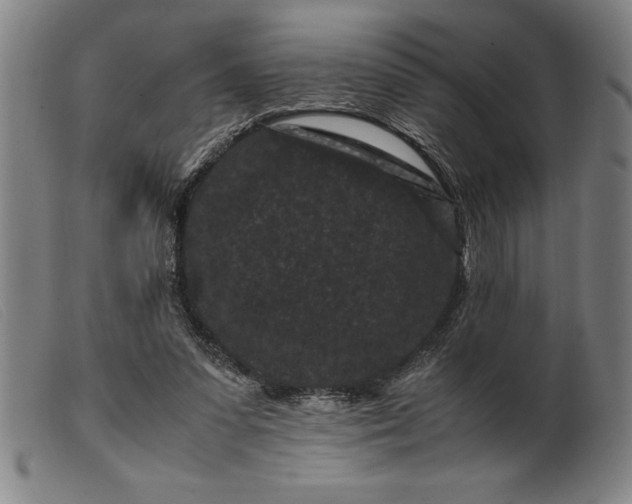 X0000099470303200805231837