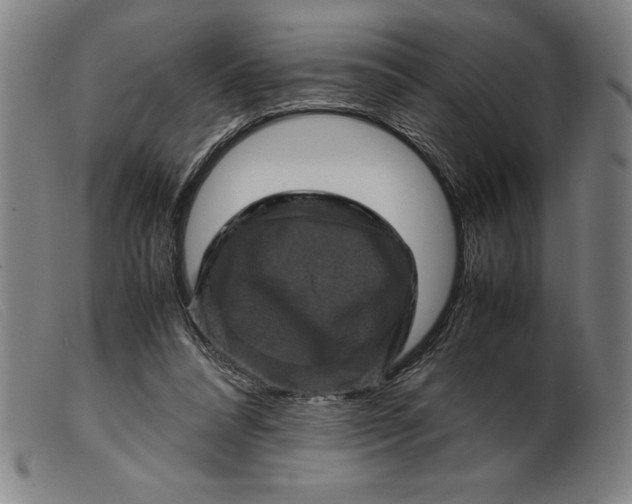 X0000099470304200805231837