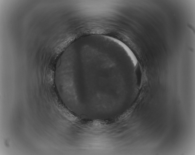 X0000099470305200805231837