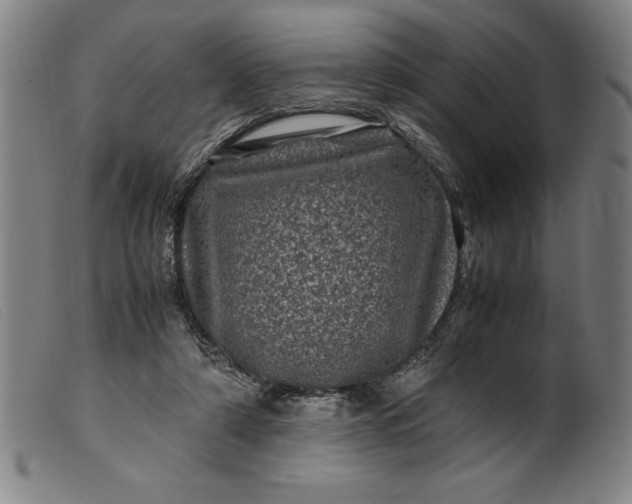 X0000099470306200805231837