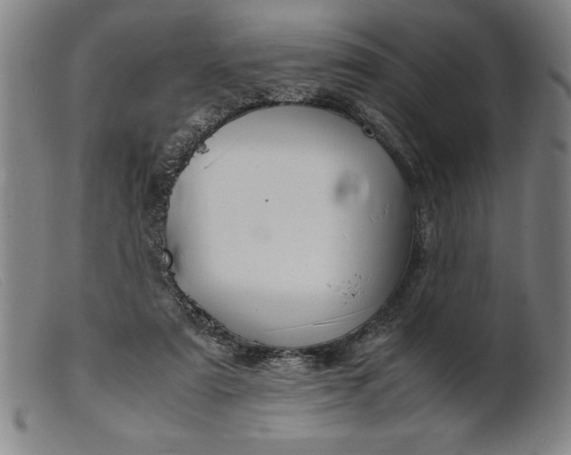 X0000099470307200805231837