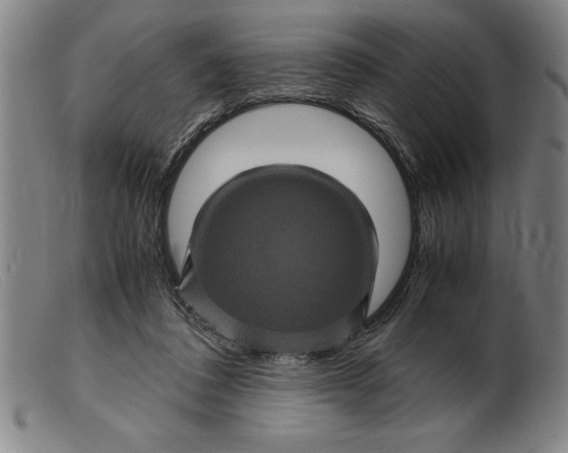 X0000099470308200805231836