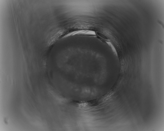 X0000099470309200805231836