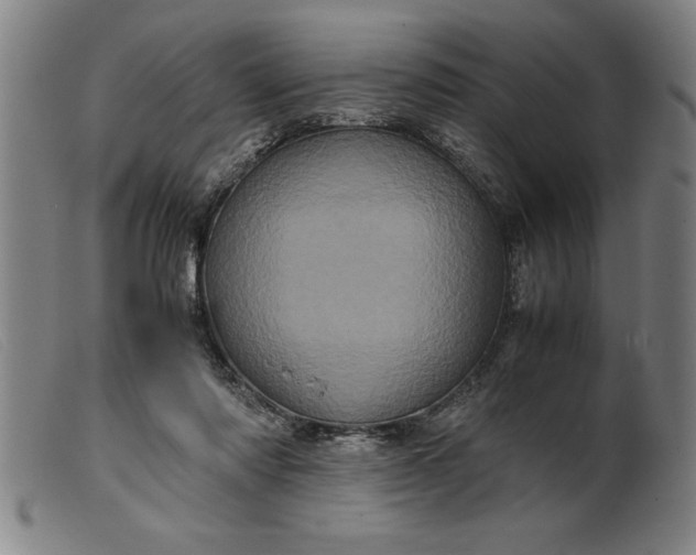 X0000099470310200805231836