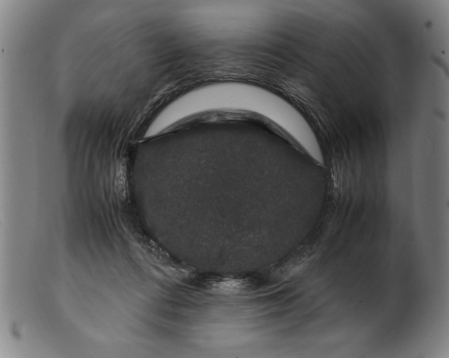 X0000099470312200805231836