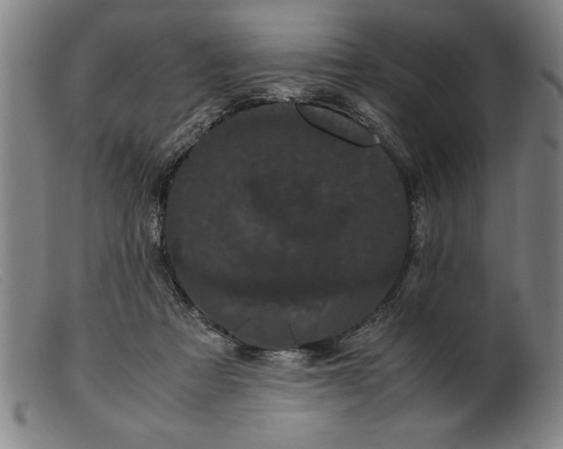 X0000099470313200805231836