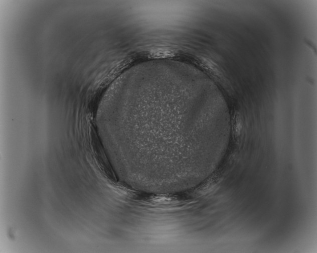 X0000099470315200805231836