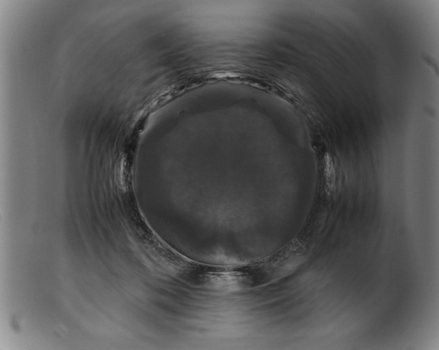 X0000099470316200805231836