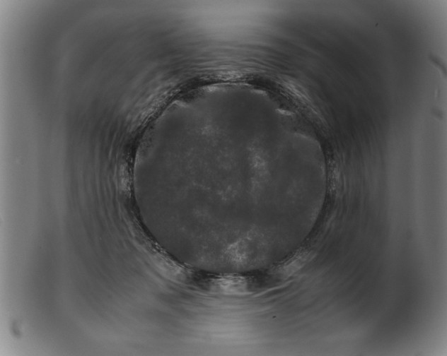 X0000099470317200805231836