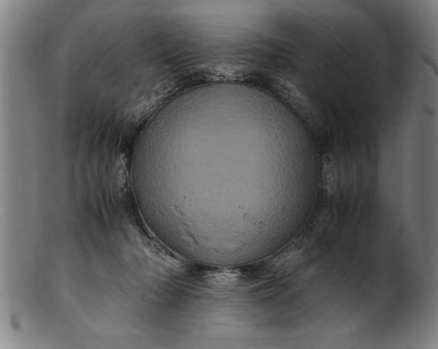 X0000099470318200805231836