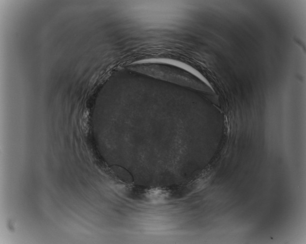 X0000099470319200805231836