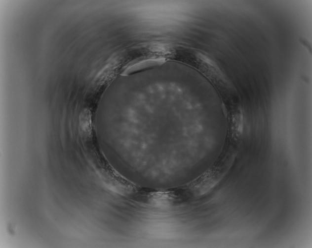 X0000099470320200805231836