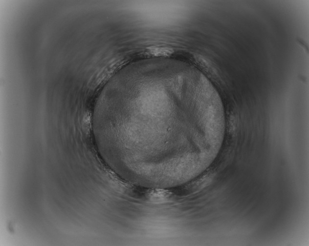 X0000099470321200805231836