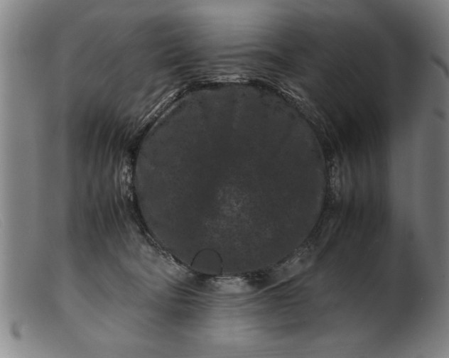 X0000099470322200805231836