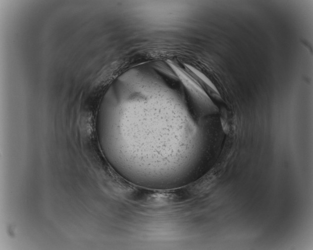 X0000099470323200805231836