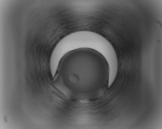 X0000099470324200805231836