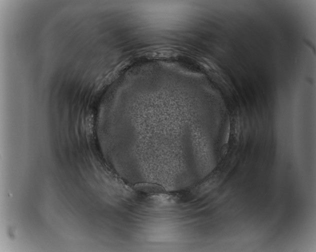 X0000099470326200805231836