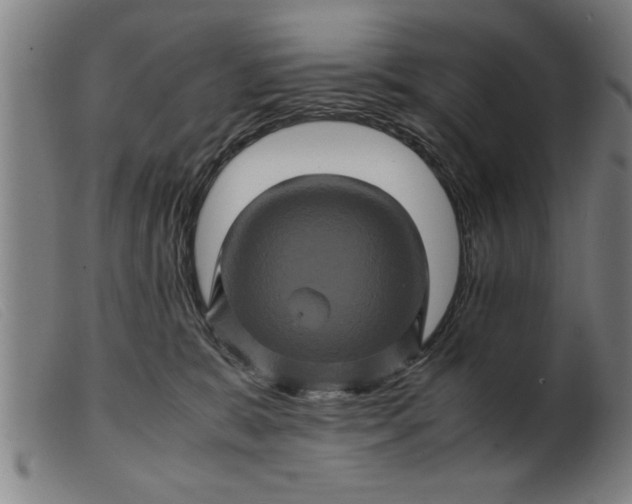 X0000099470327200805231836