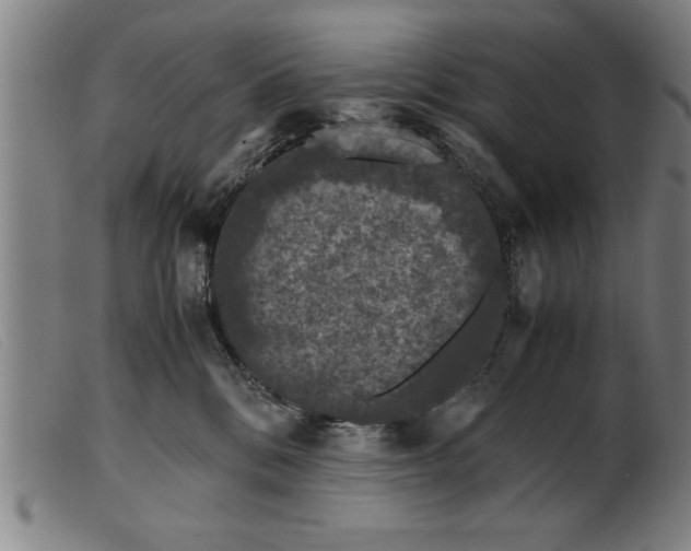 X0000099470328200805231836