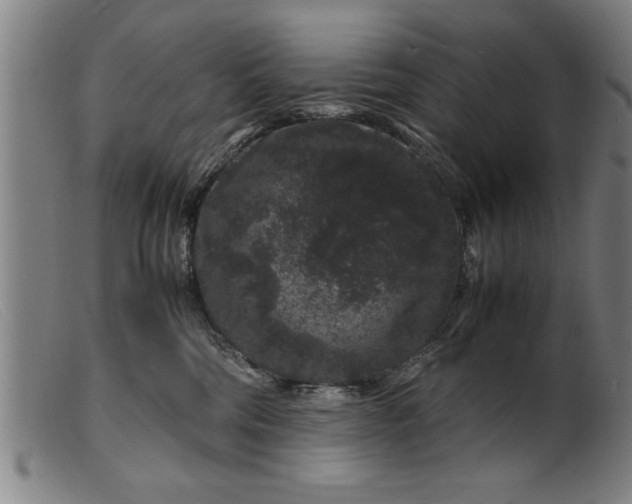 X0000099470330200805231836