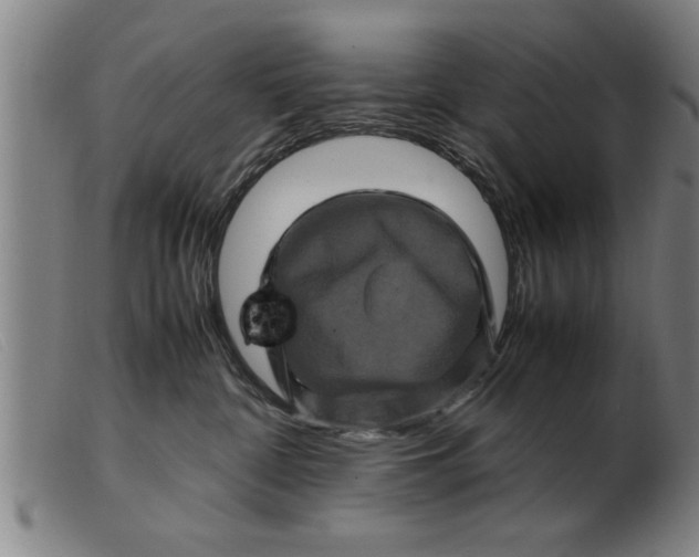 X0000099470332200805231836