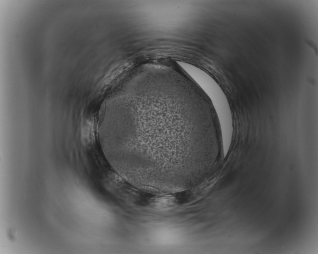 X0000099470333200805231836