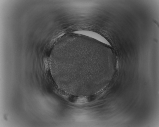 X0000099470335200805231836