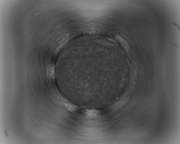 X0000099470336200805231836