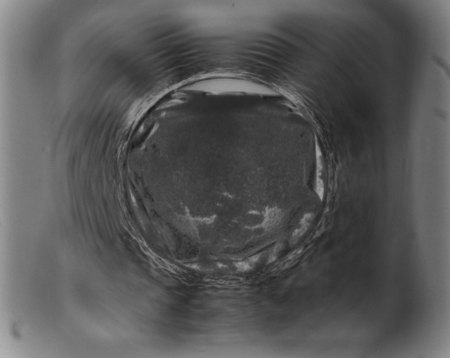 X0000099470337200805231835