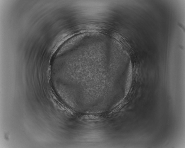 X0000099470338200805231835