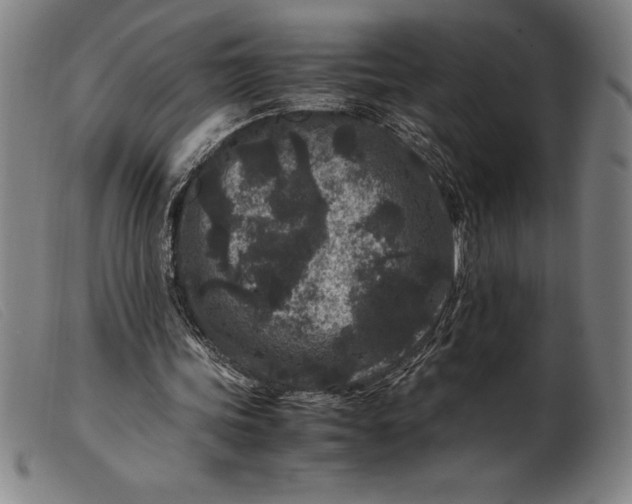 X0000099470339200805231835