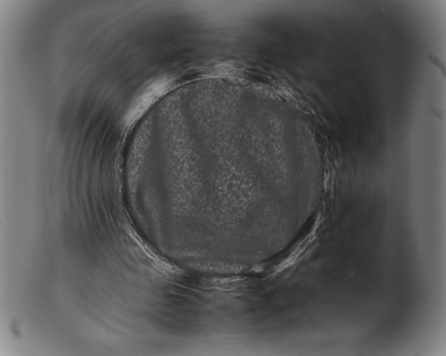 X0000099470341200805231835