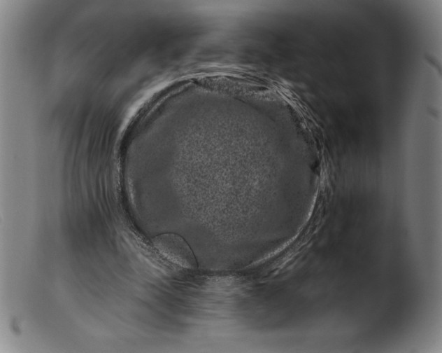 X0000099470342200805231836