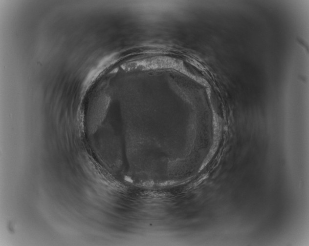 X0000099470343200805231836