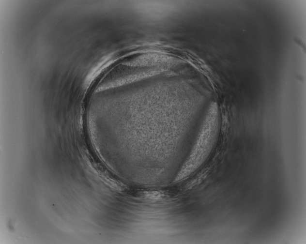 X0000099470344200805231836