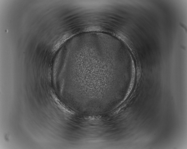 X0000099470345200805231836