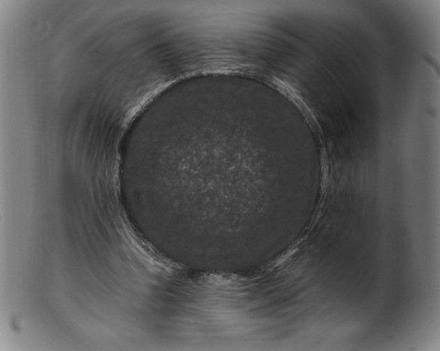 X0000099470346200805231836