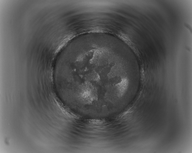 X0000099470347200805231836