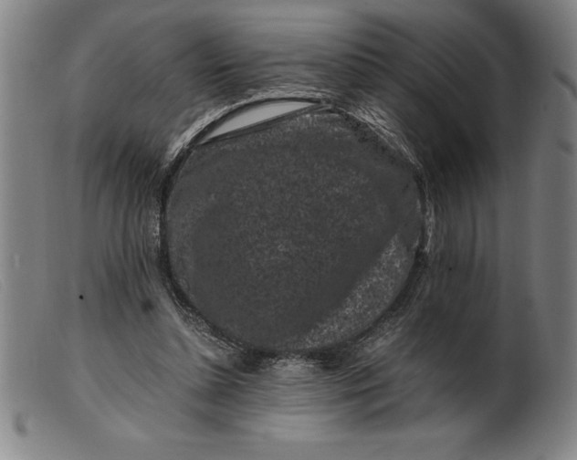 X0000099470348200805231836