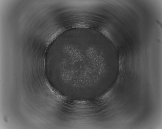 X0000099470349200805231836