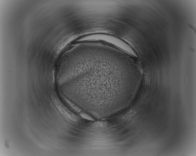 X0000099470350200805231836