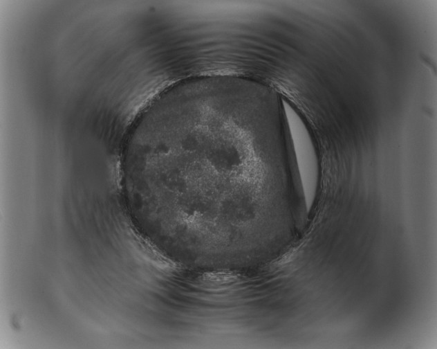 X0000099470351200805231836